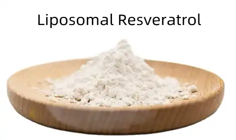 Liposomal Resveratrol vs Standard Resveratrol: Absorption Compared